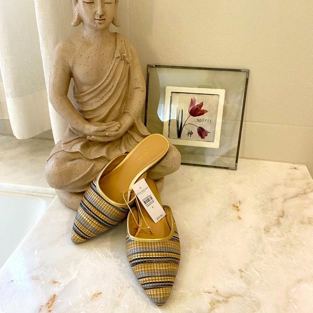 BNWT Ann Taylor mules
